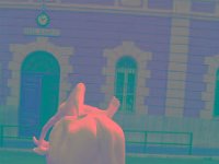 IMGP2839 edited (Medium)